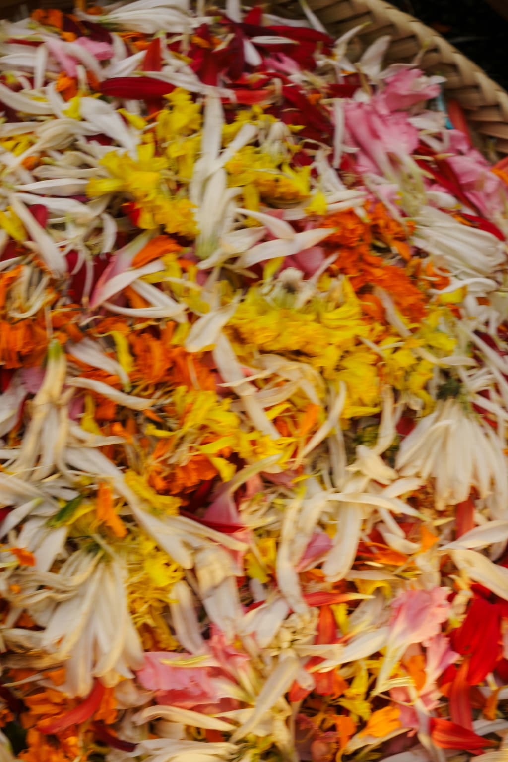 Shreeya & Nirvaan - Photo 86